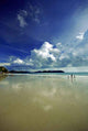 Beach Scenery Wall Decal