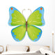 Beautiful Green and Blue Butterfly Wall Decal