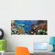 Coral and Fish