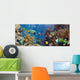 Coral and Fish