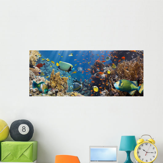Coral and Fish