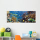 Coral and Fish