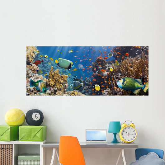 Coral and Fish