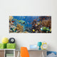 Coral and Fish