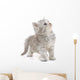 Grey Kitten Wall Decal