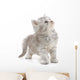 Grey Kitten Wall Decal