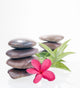 Red Frangipani Flowers and Bamboo Leaves with Balanced Stones Wall Decal
