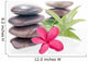 Red Frangipani Flowers and Bamboo Leaves with Balanced Stones Wall Decal