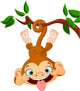 Monkey Hamming