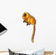Golden Lion Tamarin Wall Decal