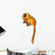 Golden Lion Tamarin Wall Decal