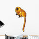 Golden Lion Tamarin Wall Decal