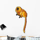 Golden Lion Tamarin Wall Decal