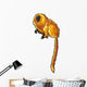Golden Lion Tamarin Wall Decal
