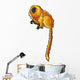 Golden Lion Tamarin Wall Decal