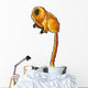 Golden Lion Tamarin Wall Decal