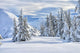 Snowy Forest Landscape Wall Decal