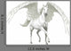Pegaso