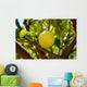 Lemon Wall Mural