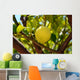 Lemon Wall Mural