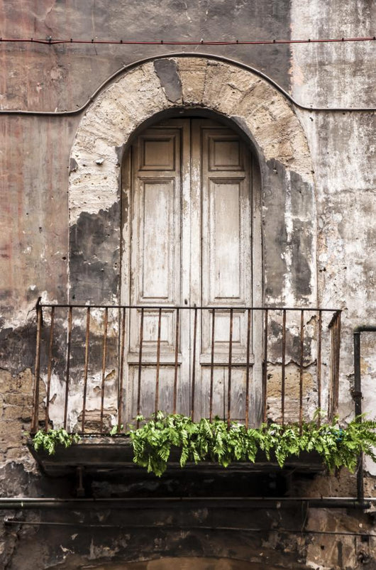 Window