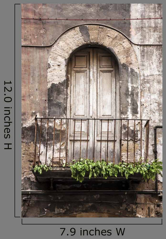 Window