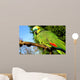 Blue Fronted Amazon Parrot Wall Mural