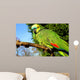 Blue Fronted Amazon Parrot Wall Mural