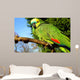 Blue Fronted Amazon Parrot Wall Mural