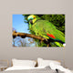 Blue Fronted Amazon Parrot Wall Mural
