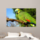 Blue Fronted Amazon Parrot Wall Mural