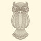 Decorative Owl
