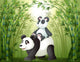 Two Pandas inside Bamboo