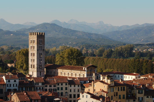 Lucca Da Torre Guinigi