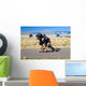 Long Boarding Wall Mural