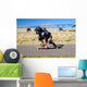 Long Boarding Wall Mural