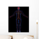 Nervous system Wall Mural