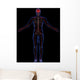 Nervous system Wall Mural