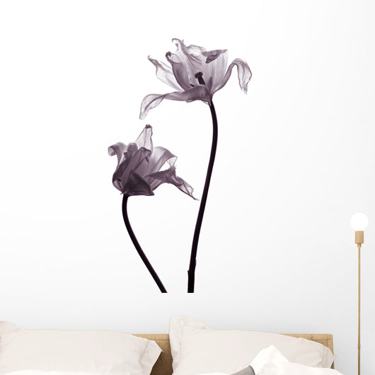 tulip  silhouettes on white Wall Decal