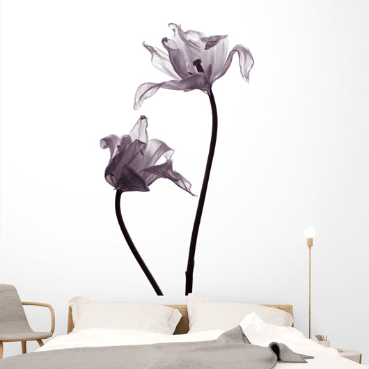 tulip  silhouettes on white Wall Decal