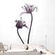 tulip  silhouettes on white Wall Decal