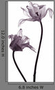 tulip  silhouettes on white Wall Decal