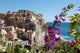 Italia Wall Decal
