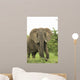 Elephant Wall Mural