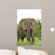 Elephant Wall Mural