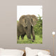 Elephant Wall Mural