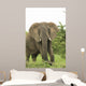 Elephant Wall Mural