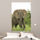 Elephant Wall Mural