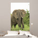 Elephant Wall Mural