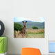 Wild kangaroo in outback Wall Mural